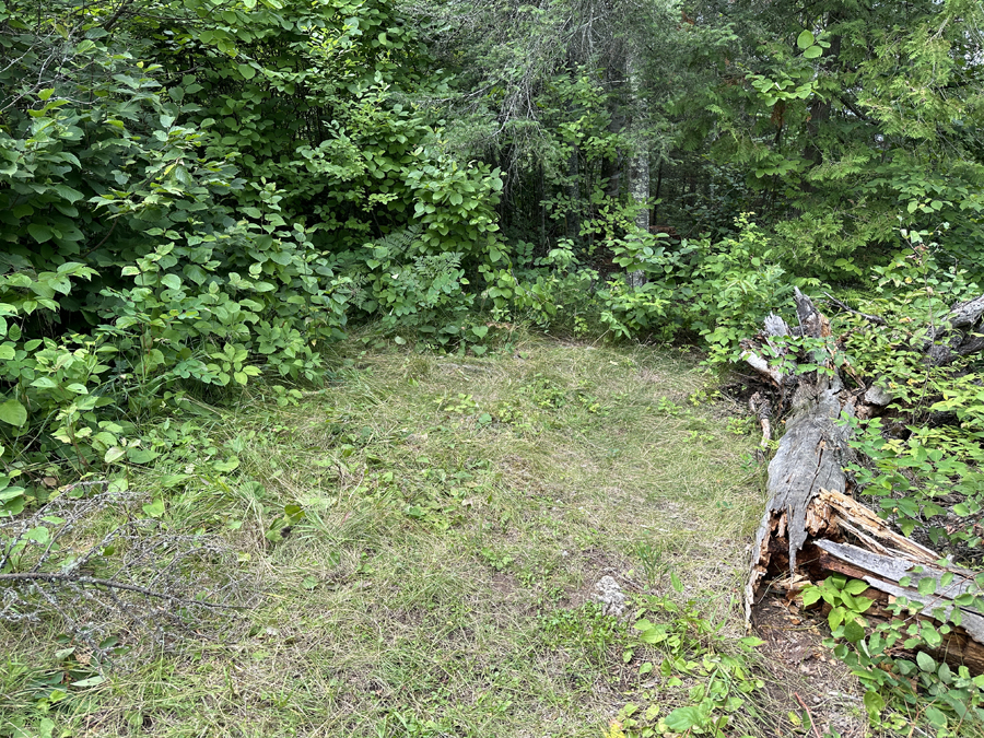 Bald Eagle Lake Campsite 7