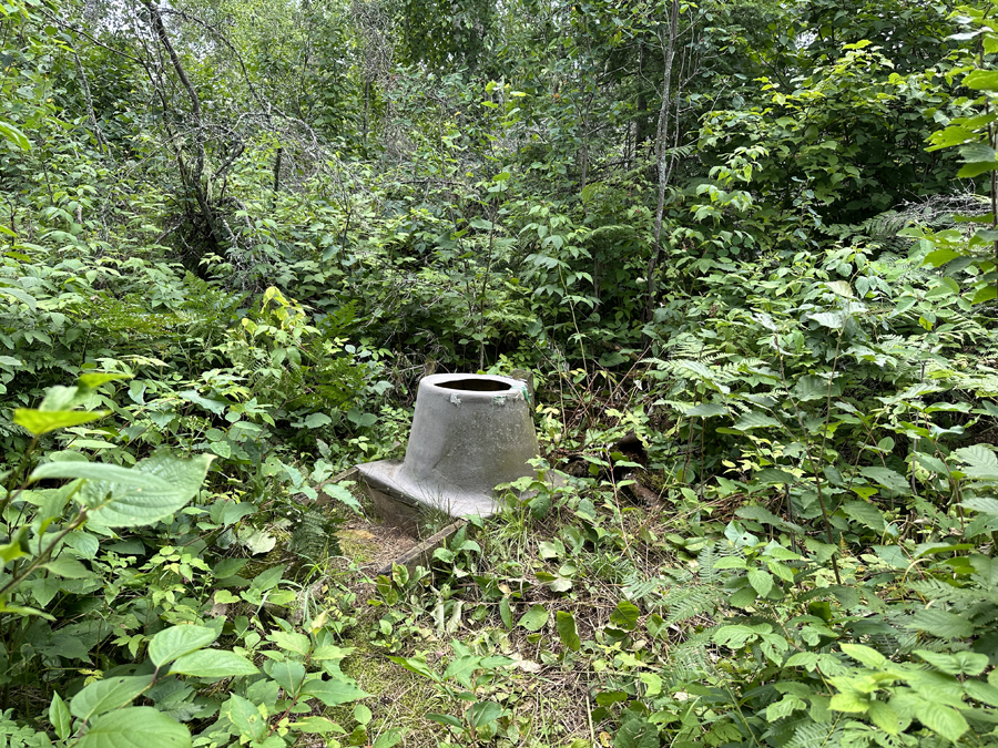 Bald Eagle Lake Campsite 8