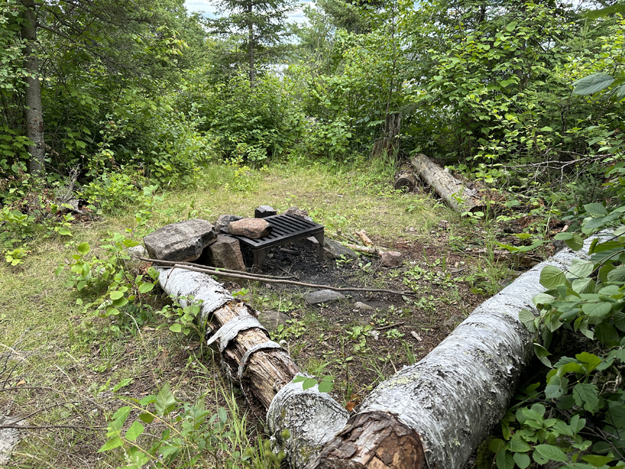 Bald Eagle Lake Campsite 3