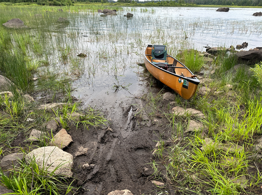 Bald Eagle Lake Campsite 1