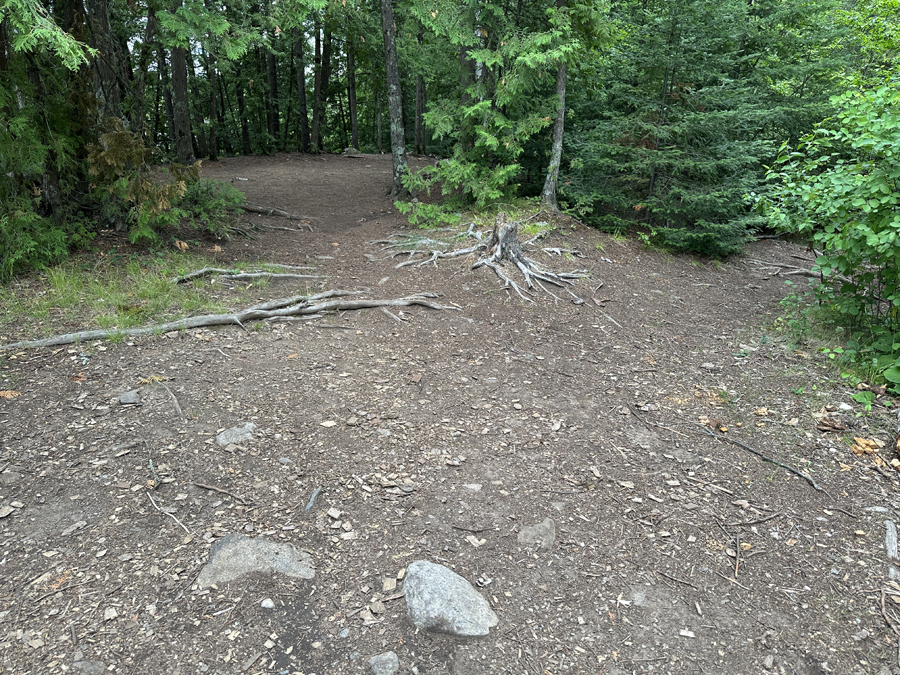 Bald Eagle Lake Campsite 4