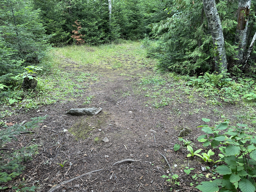 Bald Eagle Lake Campsite 6