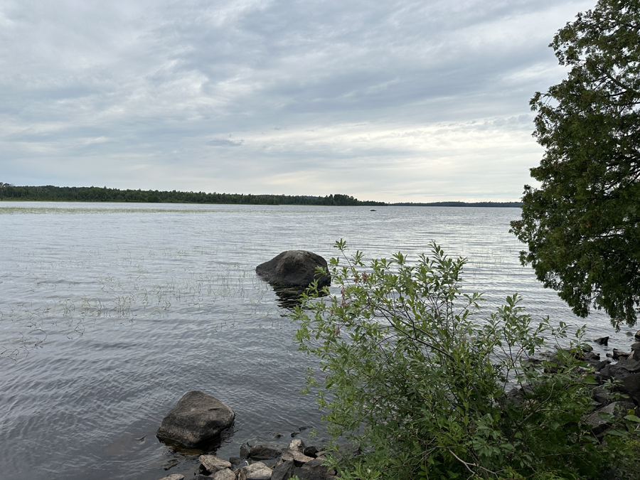 Bald Eagle Lake Campsite 11