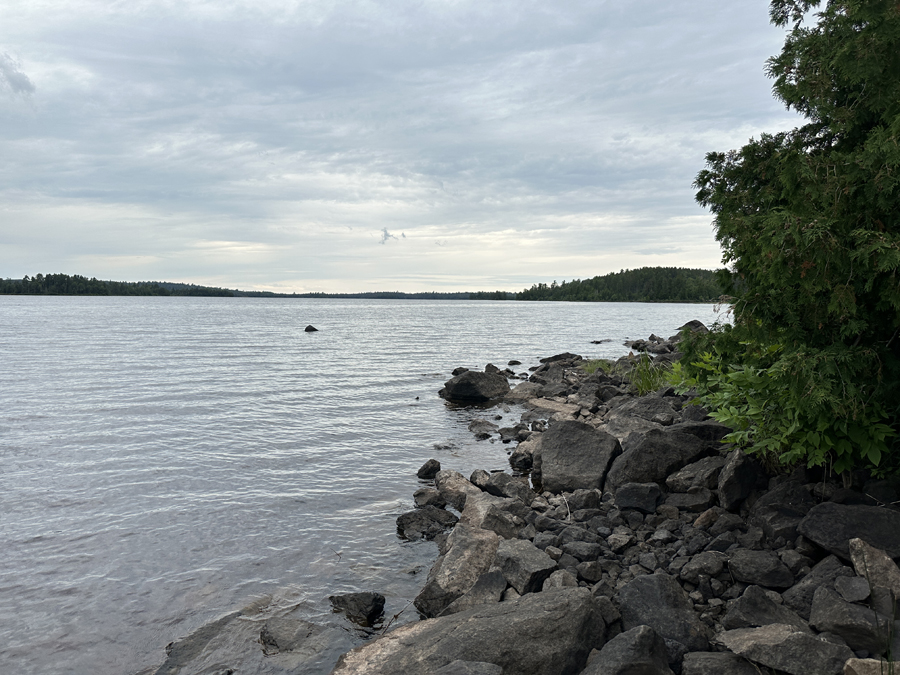 Bald Eagle Lake Campsite 11