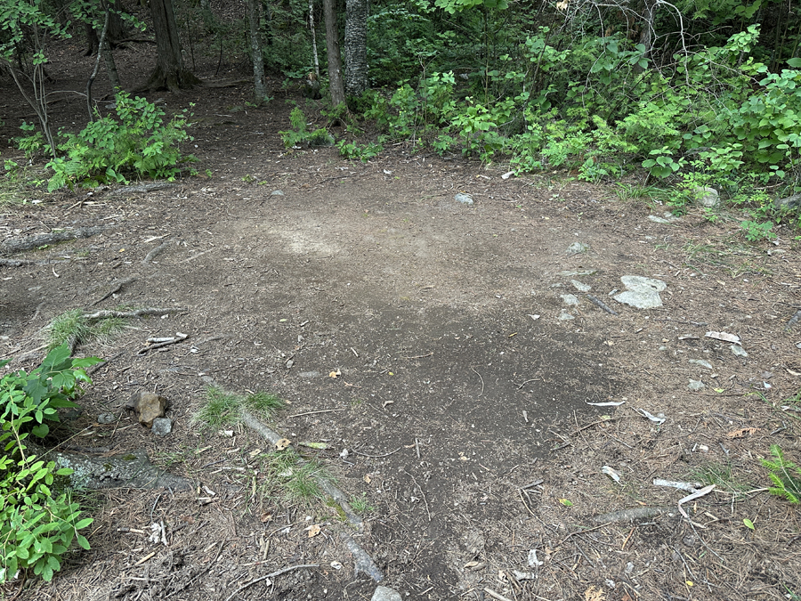 Bald Eagle Lake Campsite 4