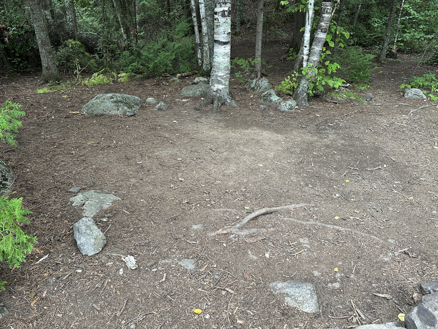 Bald Eagle Lake Campsite 6