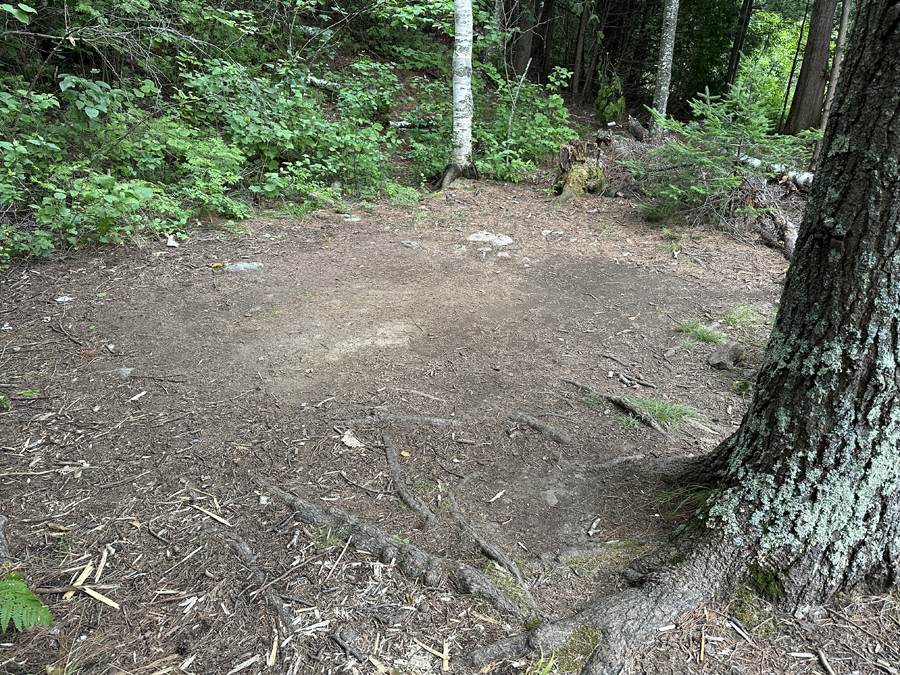 Bald Eagle Lake Campsite 7