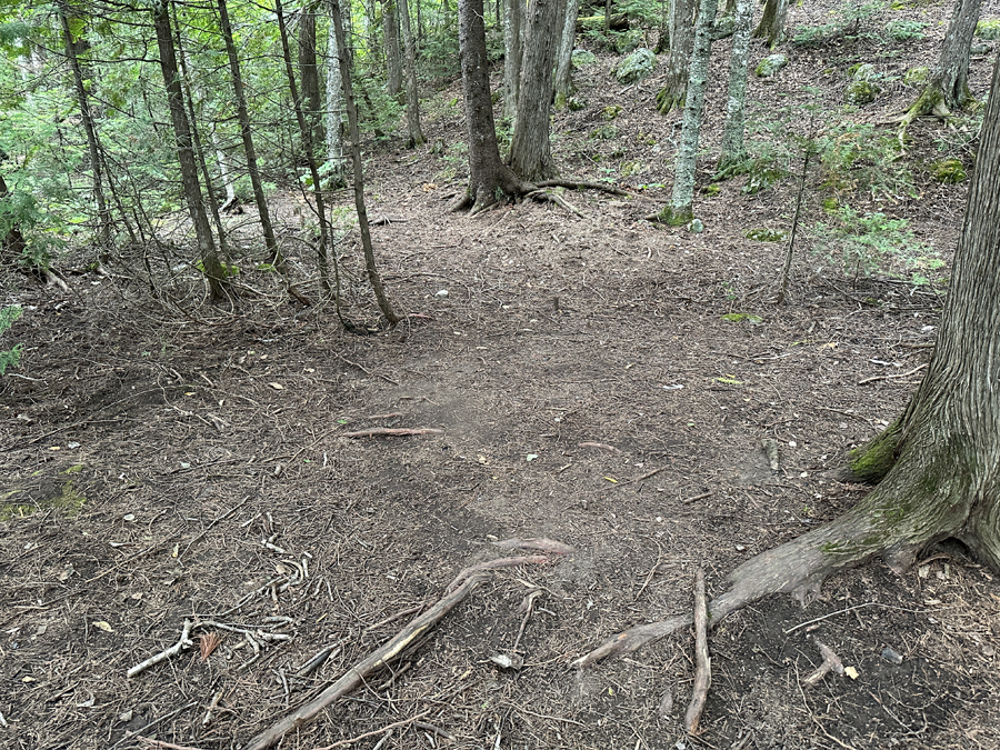 Bald Eagle Lake Campsite 8