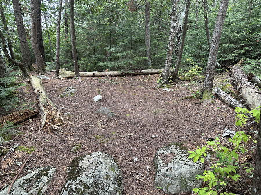 Bald Eagle Lake Campsite 8