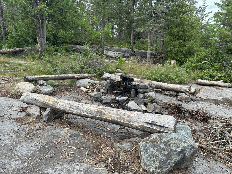 Bald Eagle Lake Campsite 2