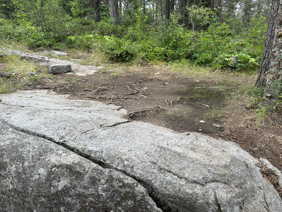 Bald Eagle Lake Campsite 5