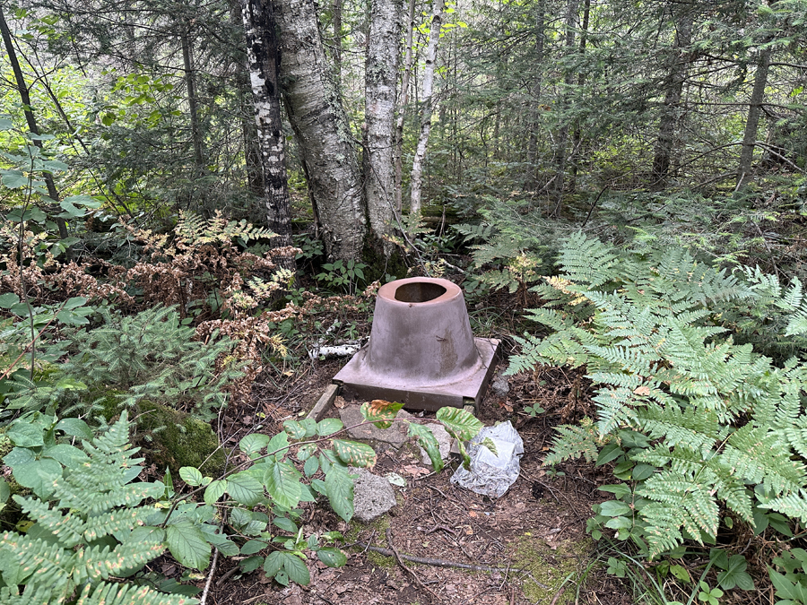 Bald Eagle Lake Campsite 6