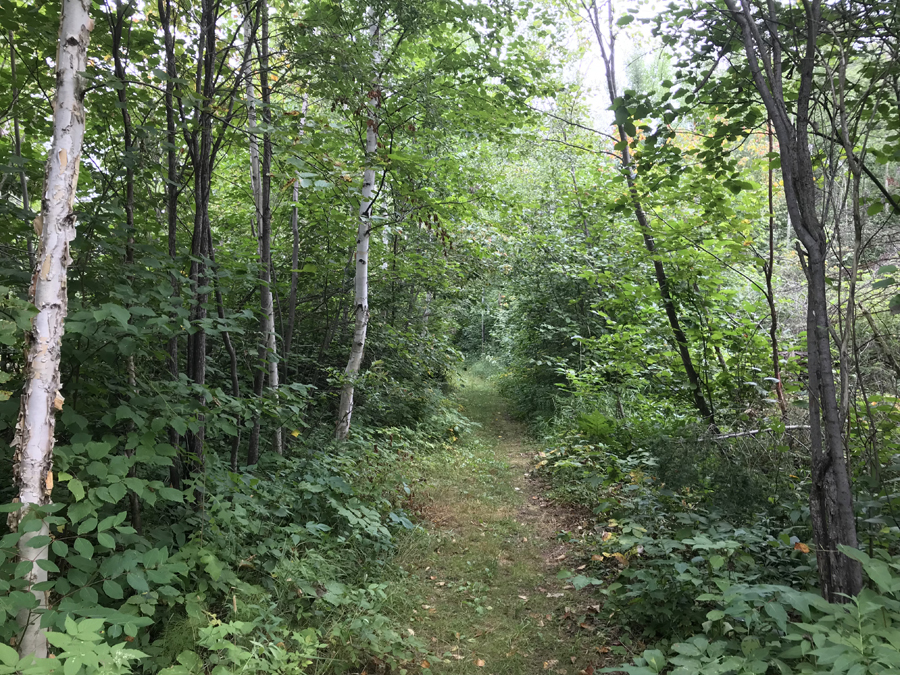 Four Mile Portage Lake 4