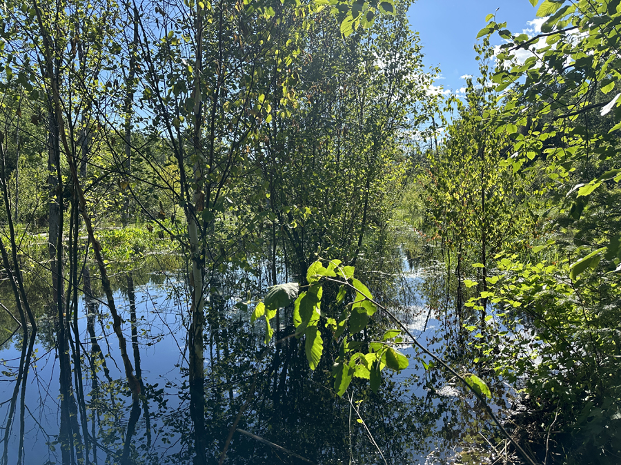 Four Mile Portage 7A