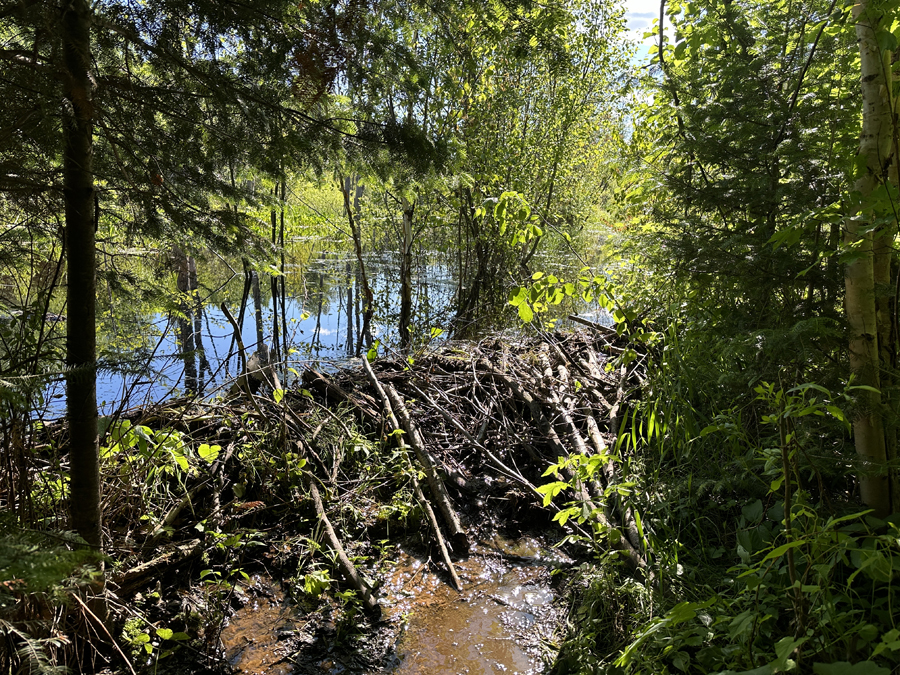 Four Mile Portage 6A
