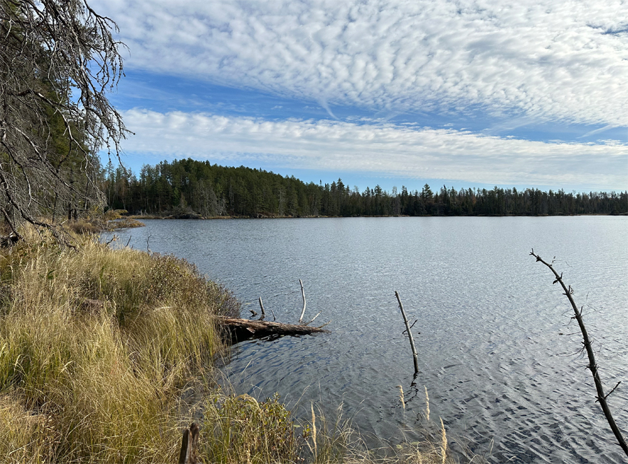 Becoosin Lake Campsite 5