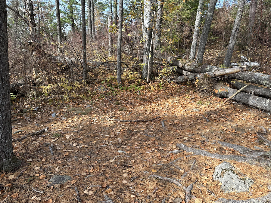 Becoosin Lake Campsite 4