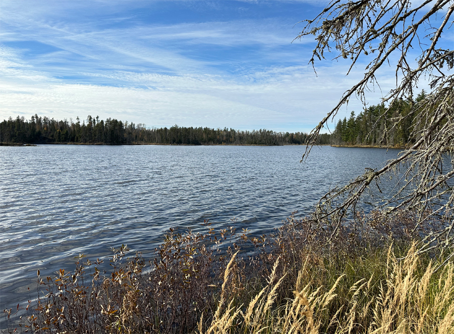 Becoosin Lake Campsite 8