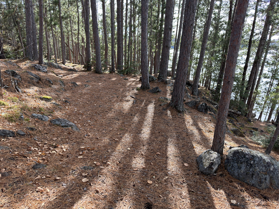 Becoosin Lake Campsite 4