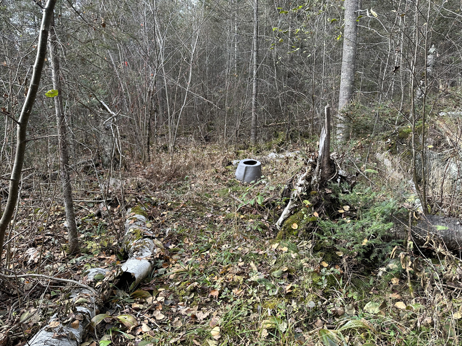 Benezie Lake Campsite 5