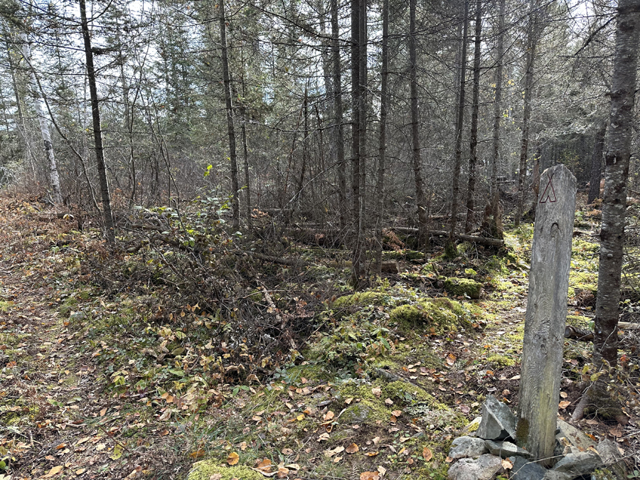 Benezie Lake Campsite 1