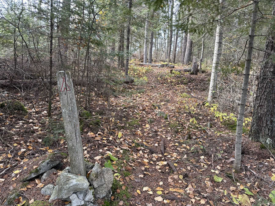 Benezie Lake Campsite 1