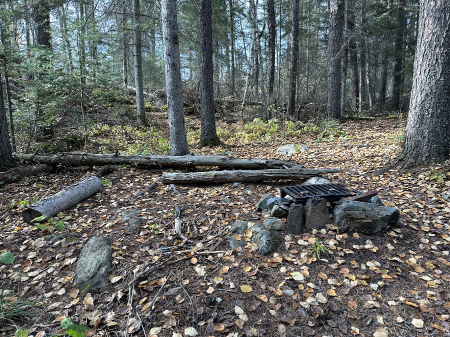 Benezie Lake Campsite 2