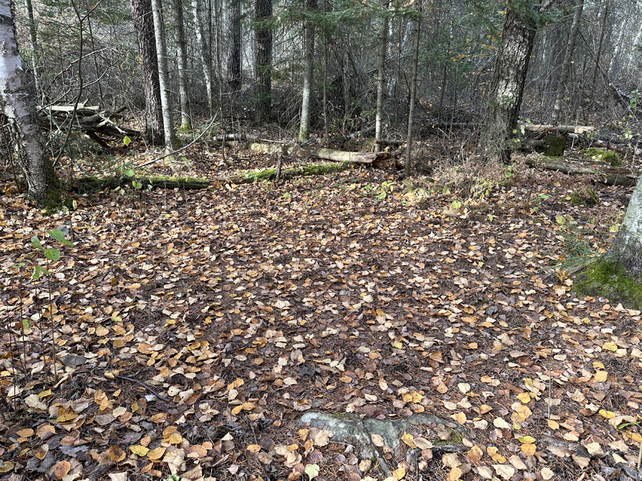 Benezie Lake Campsite 3