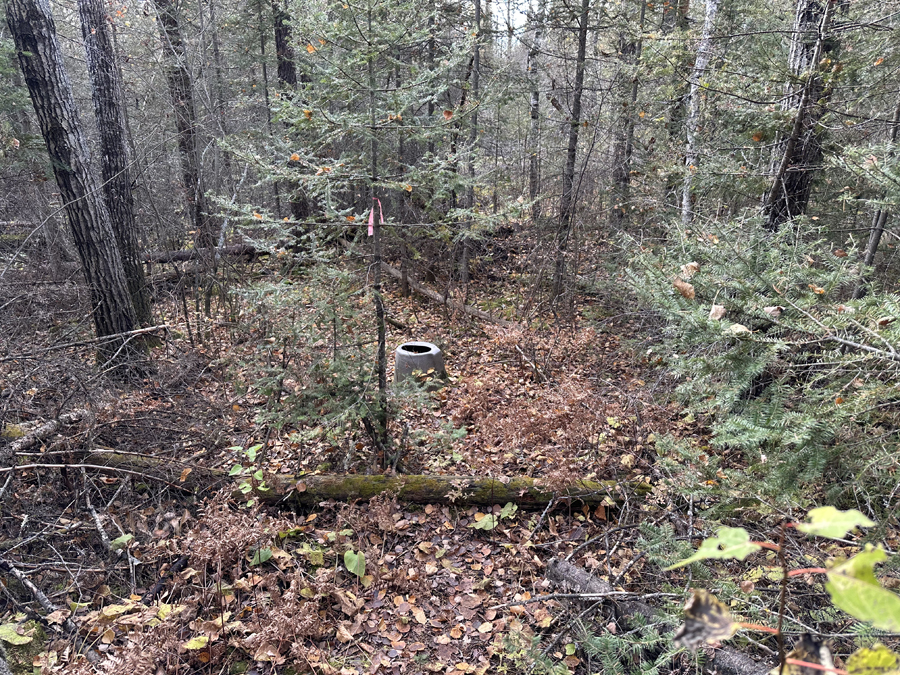 Benezie Lake Campsite 5