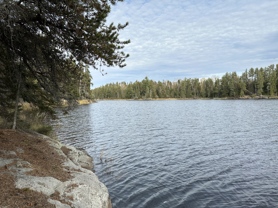 Benezie Lake Campsite 8