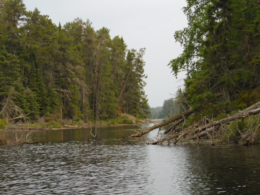 Bridge Lake 3