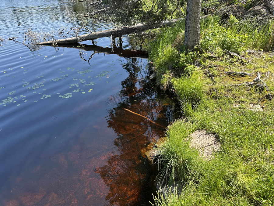 Bruin-South-Kawishiwi-River-Portage 1