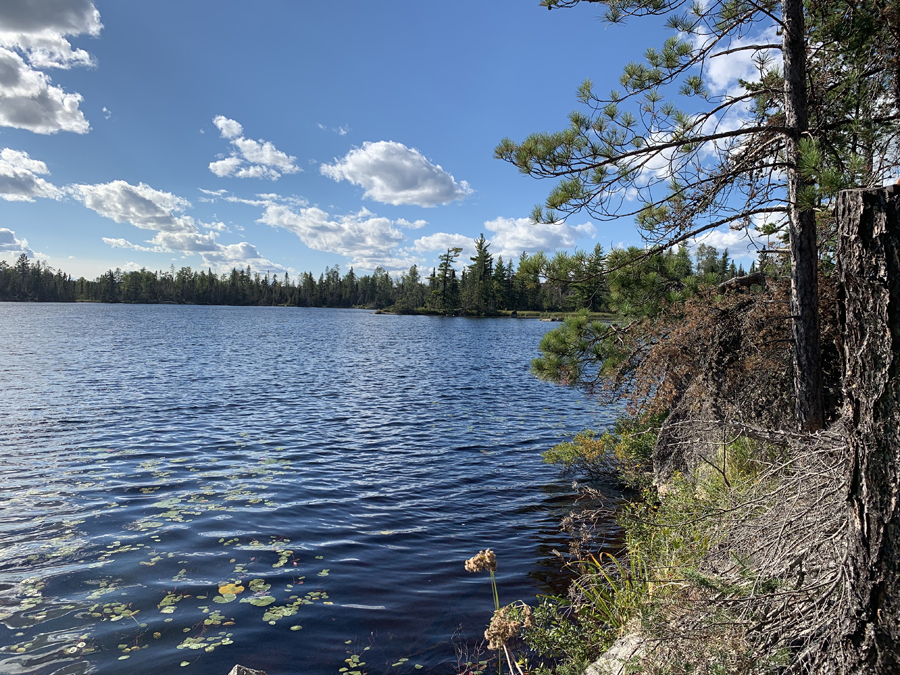 Bruin Lake Campsite 4