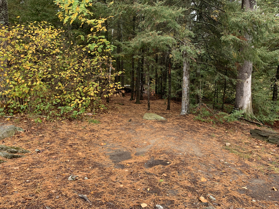 Disappointment Lake Campsite 6