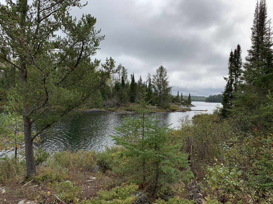 Disappointment Lake Campsite 6