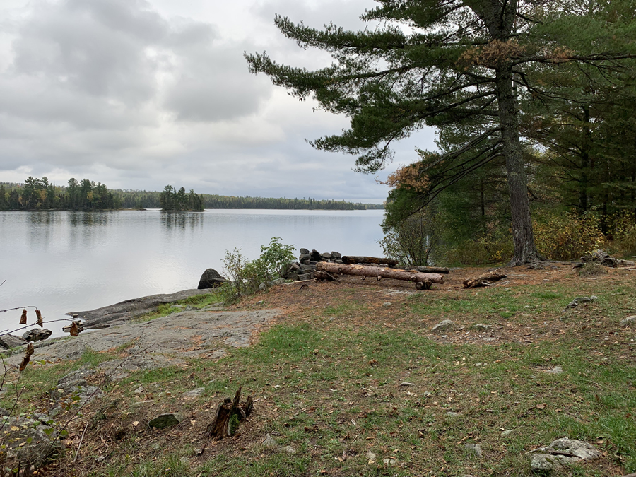 Disappointment Lake Campsite 8