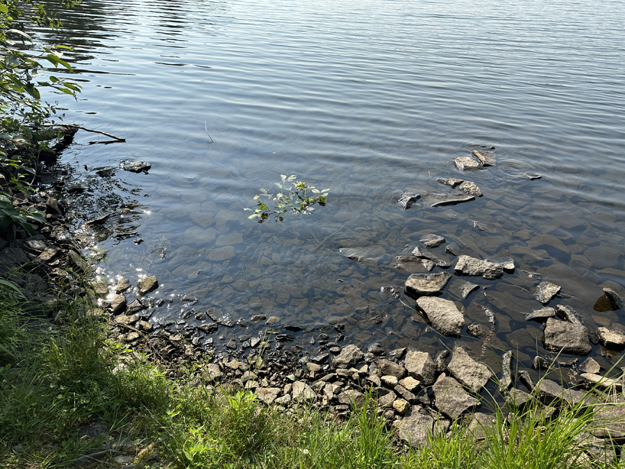 Ella Hall Lake Campsite 3