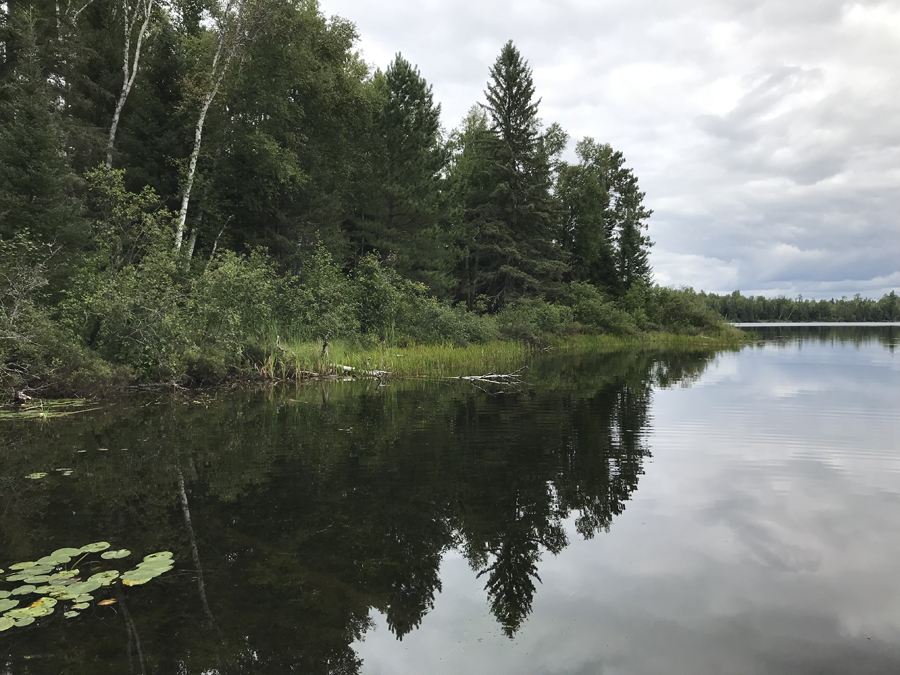 Ella Hall Lake to Mud Lake Portage 8