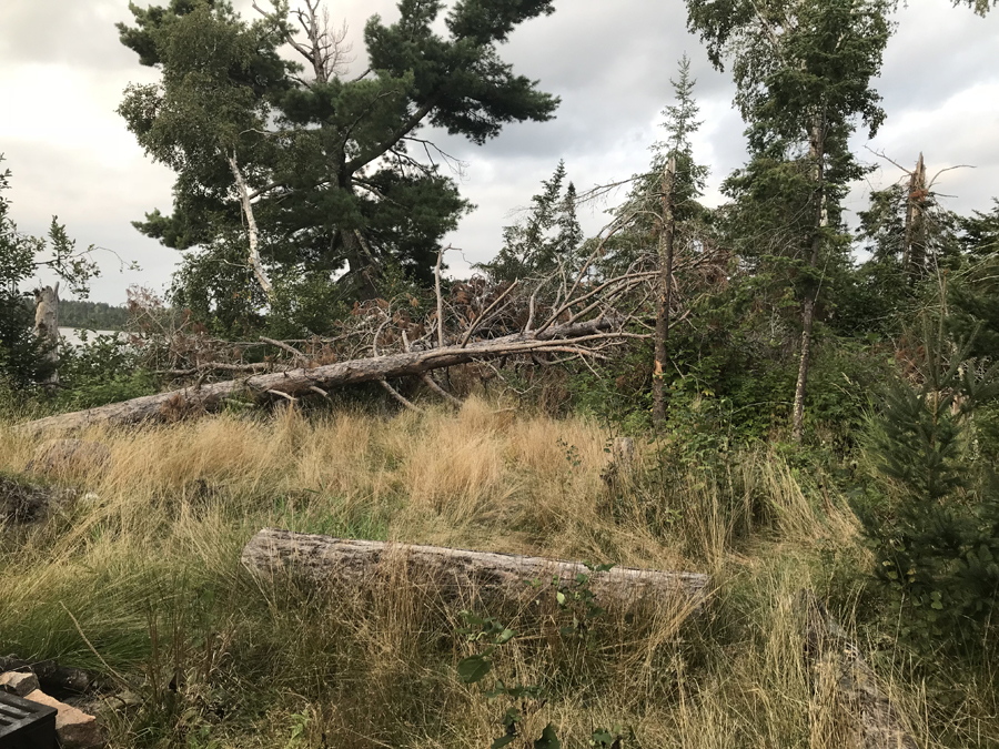 Fall Lake Campsite 4