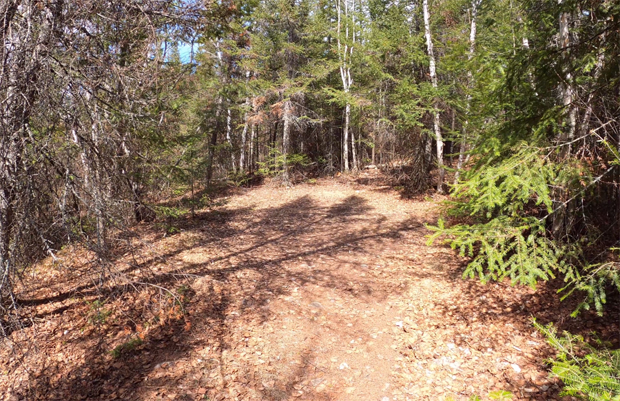 Found Lake Campsite 6