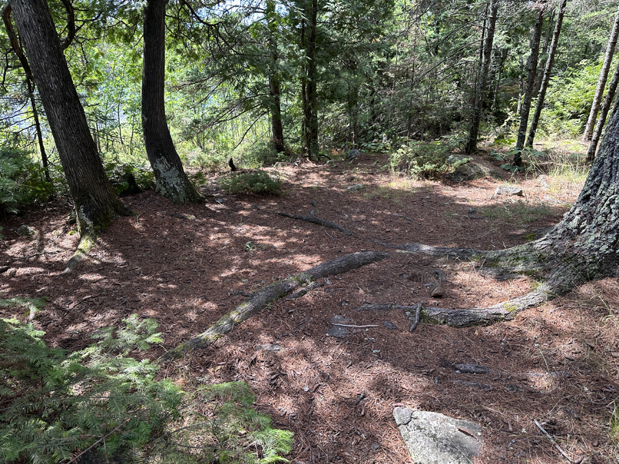 Gabbro Lake Campsite BWCA 5