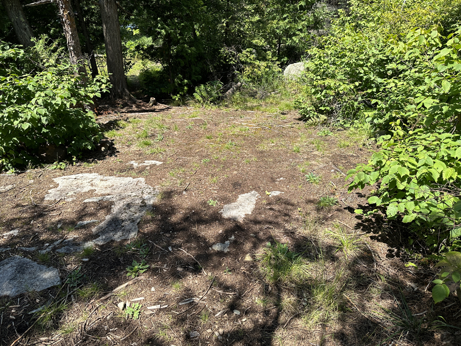 Gabbro Lake Campsite BWCA 6