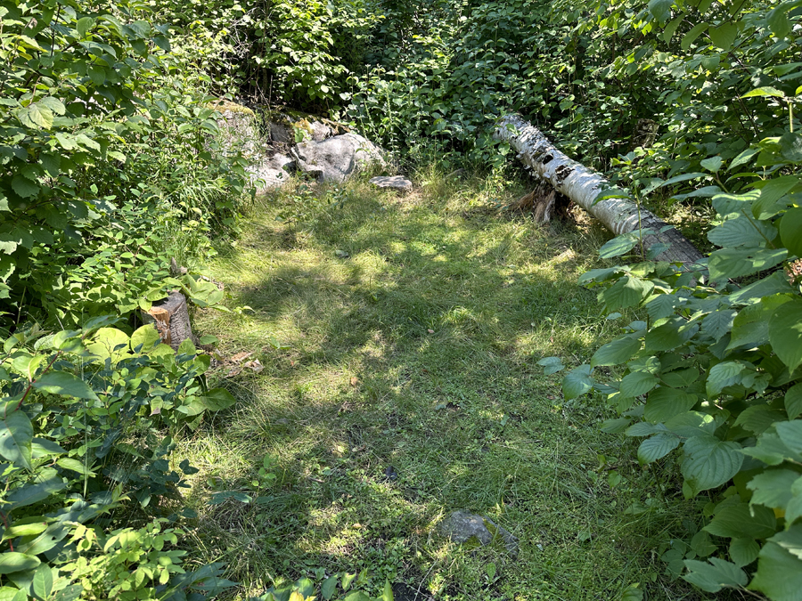 Gabbro Lake Campsite BWCA 7