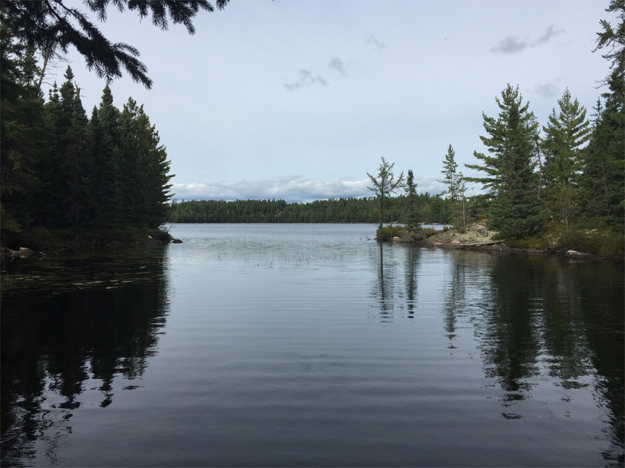 Angleworm Lake to Home Lake Portage 4