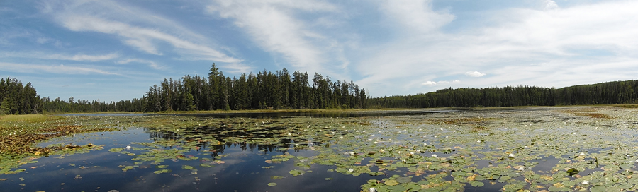 Ahsub Lake to Jitterbug Lake Portage 3