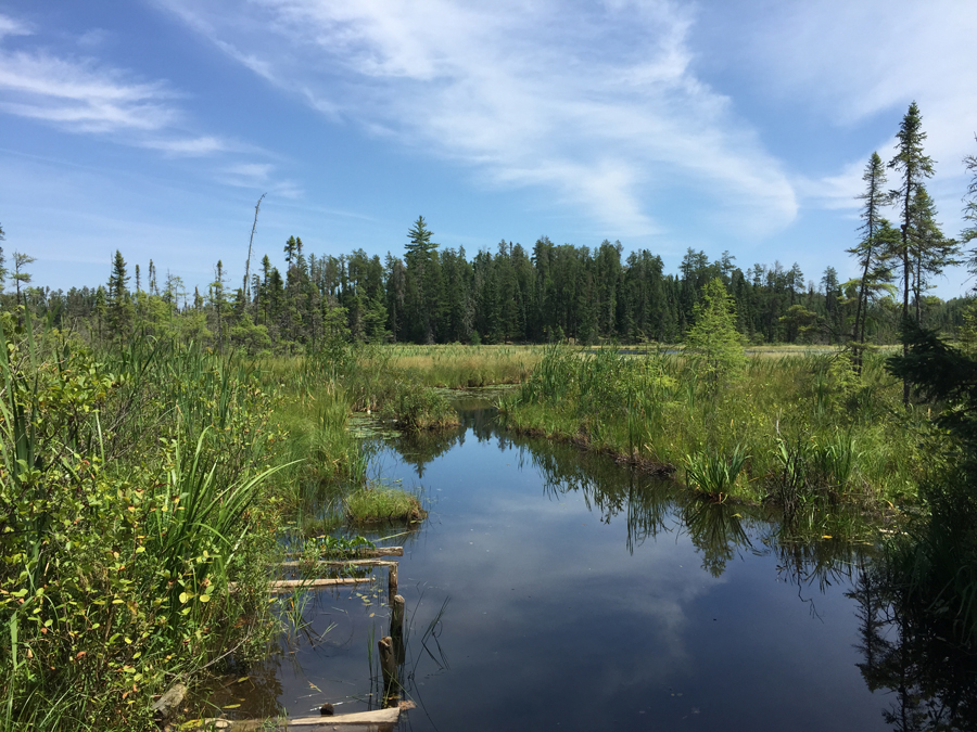 Jitterbug Lake 1