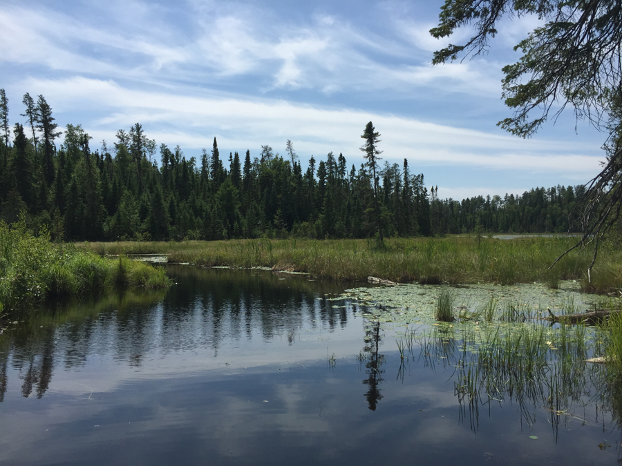 Jitterbug Lake 3