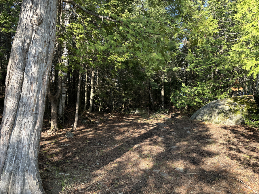 Lake Four Campsite 7