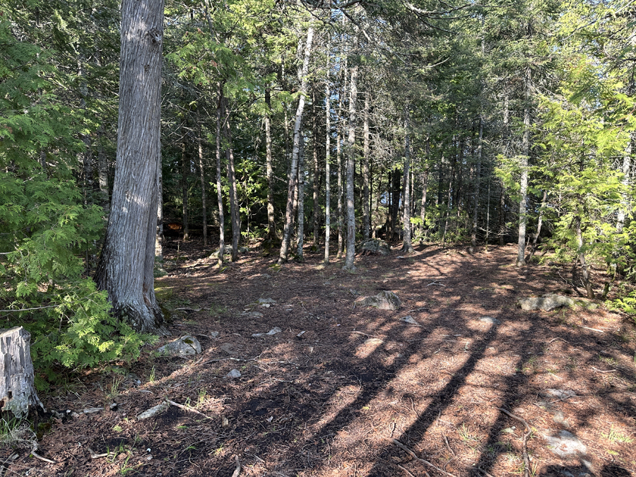 Lake Four Campsite 8