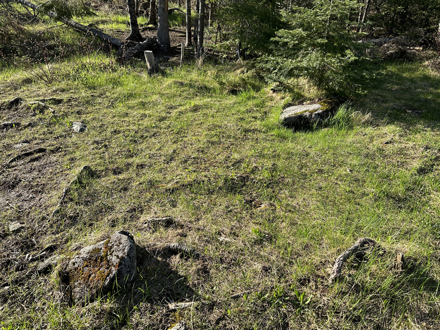 Lake Four Campsite 5